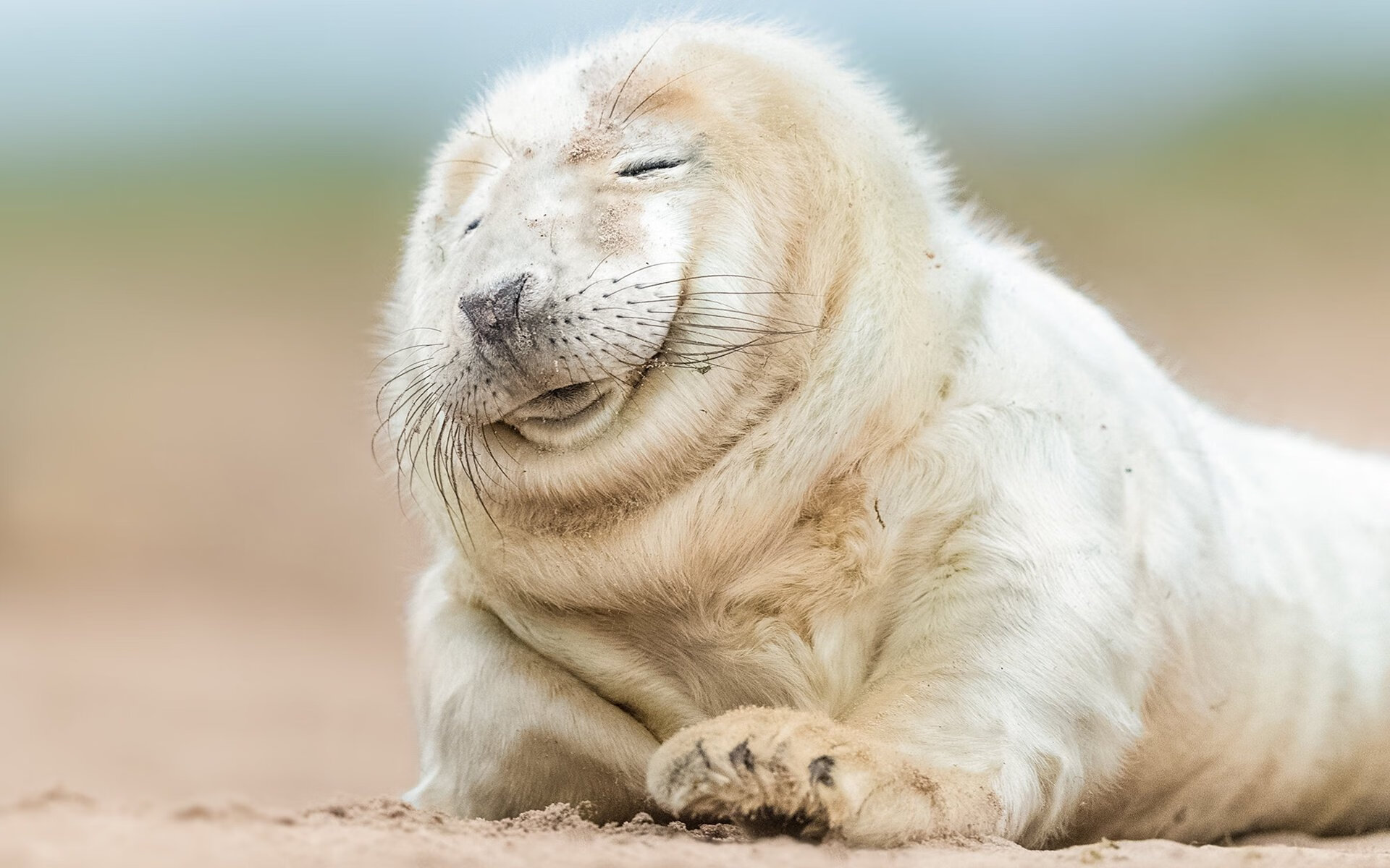 PSG后防漏洞多次被切尔西利用