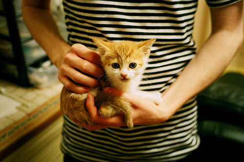 足球裁判体能测试标准全面升级,足球裁判体能考试训练方法