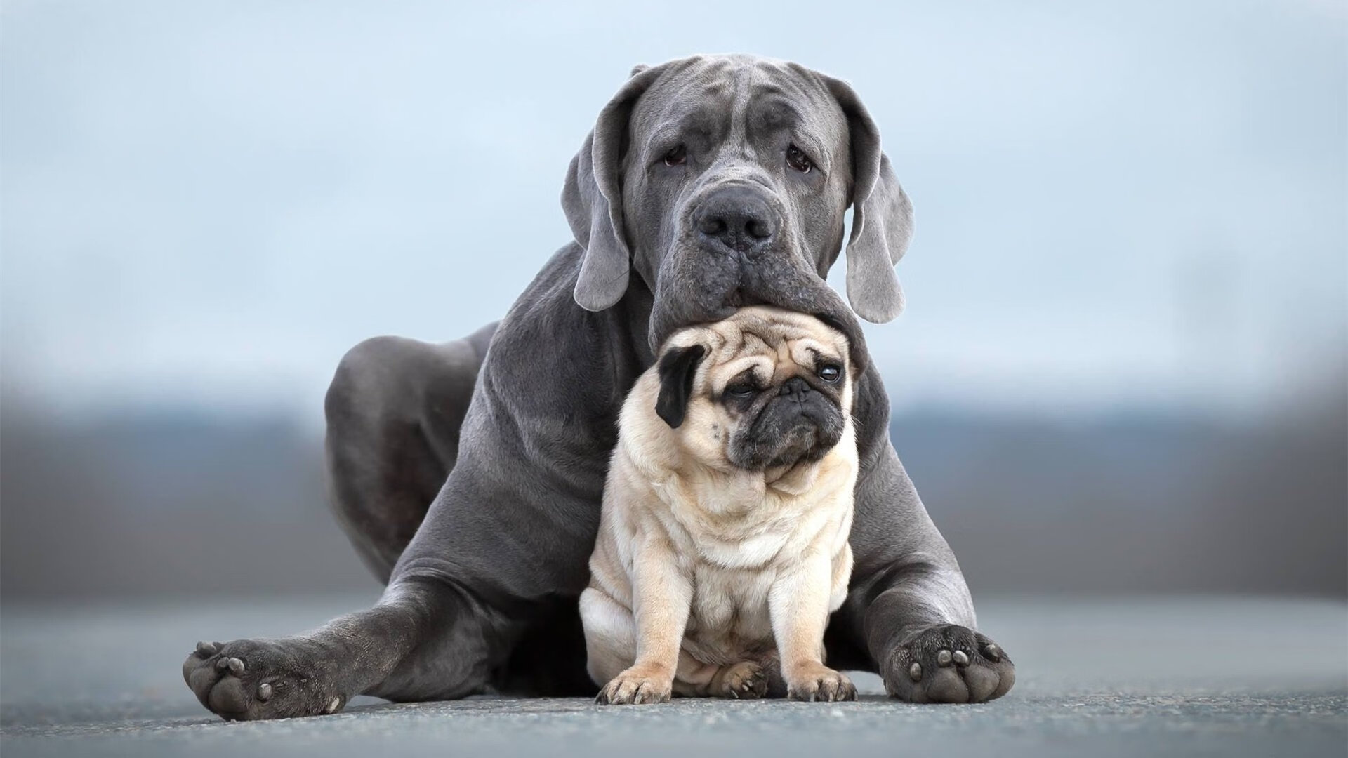 哈斯克赛后谈训练细节与经验,哈斯克人