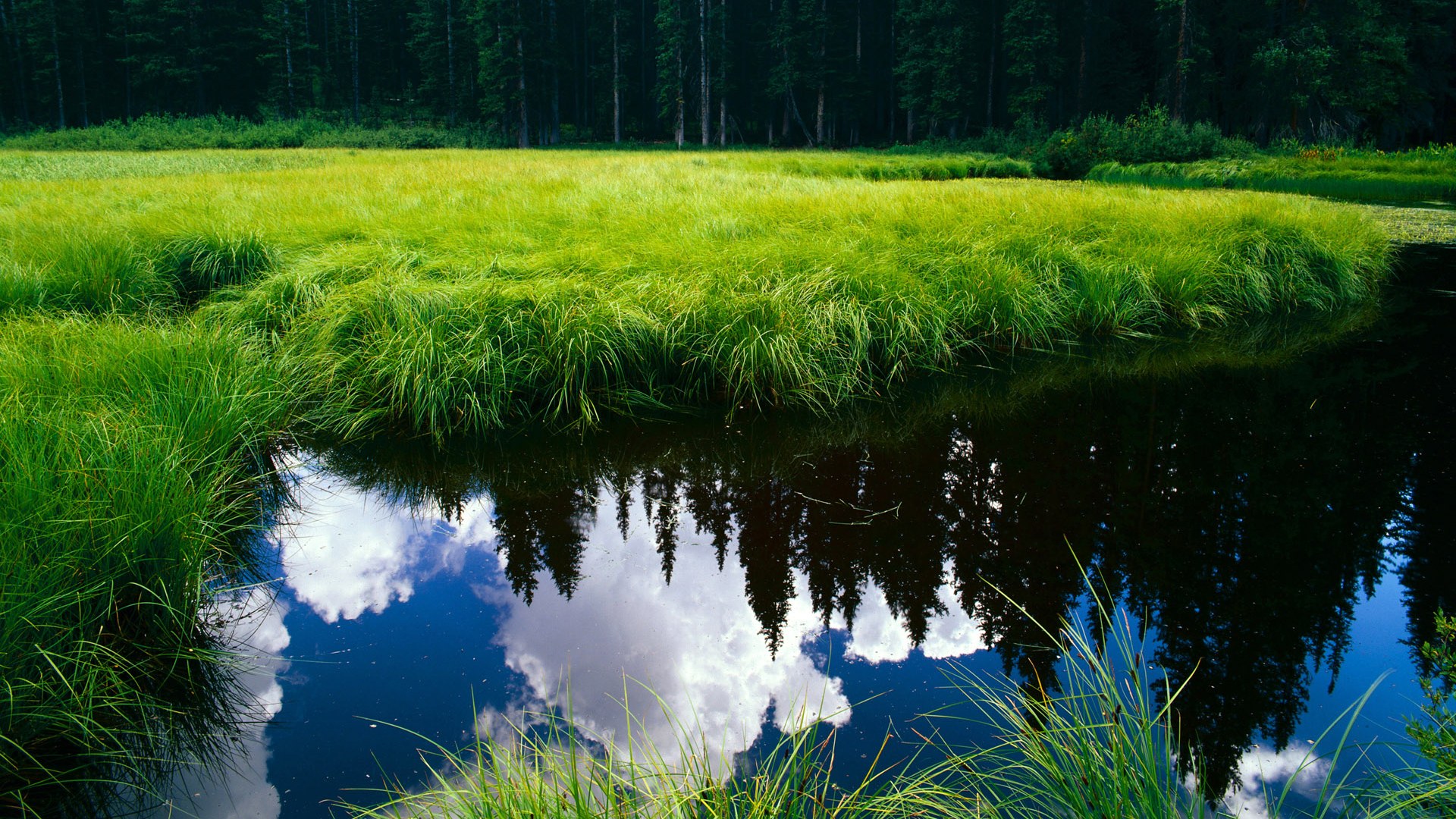 mk体育官网-塞尔·拉恩：全黑队的“极速破坏者”，突破后的传球总能撕开对方防线