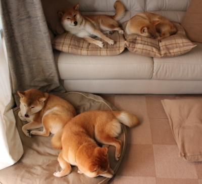 mk体育官网-威尔士女子橄榄球赛季关注度稳步增长，橄榄球女子世界杯