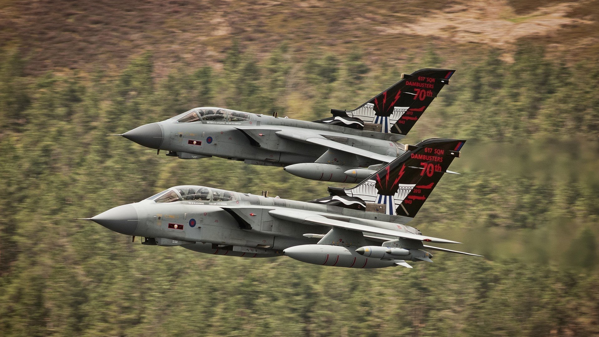 mk体育网址-跳水赛场南非男将精准入水，南非跳远运动员