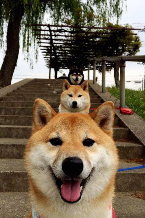 mk体育网址-青少年足球夏令营火热开营，激发运动热情，全国青少年校园足球夏令营活动