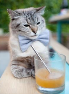 mk体育下载-高校篮球推动裁判员培训保障比赛质量，篮球裁判员培训方案