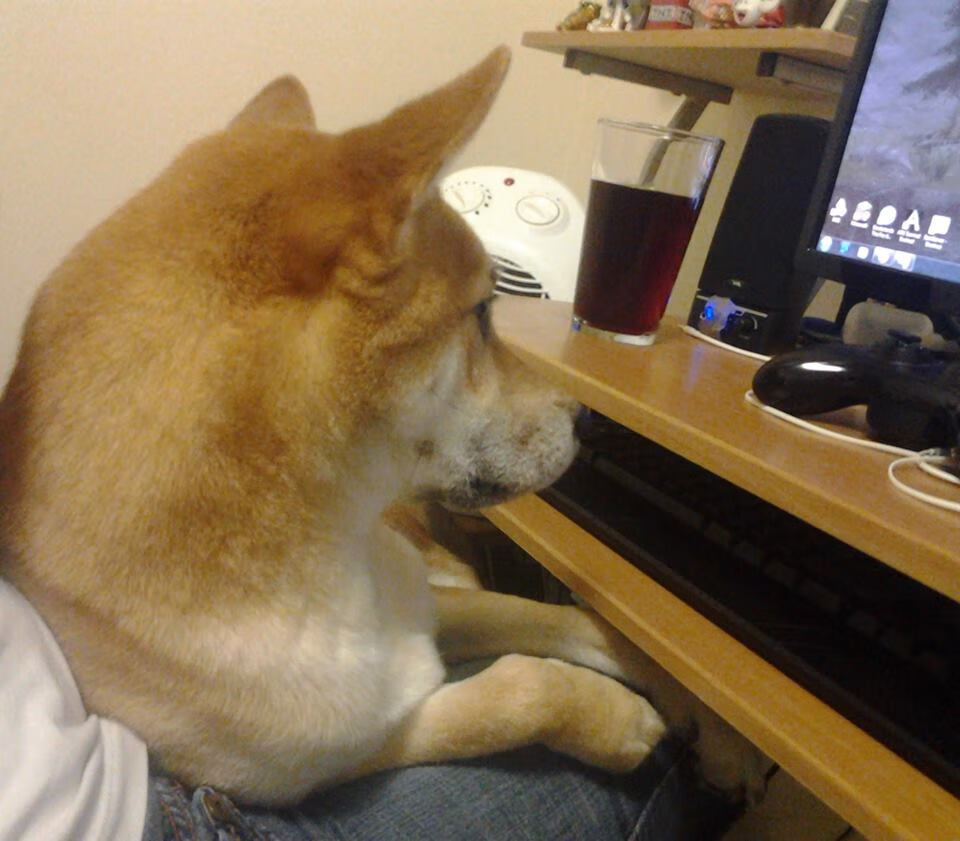 ATFX：8 月核心 PCE 料维持 2.9%，美元指数空头难改，美国pce指数公布时间